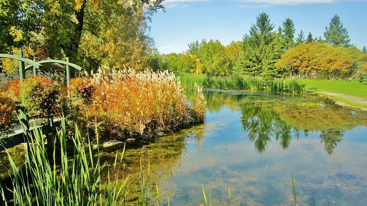 Plan d’eau entouré d’arbres au Centre de la nature de Laval.