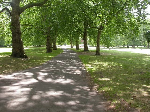 Allée bordée d’arbres dans Southwark Park à Londres.