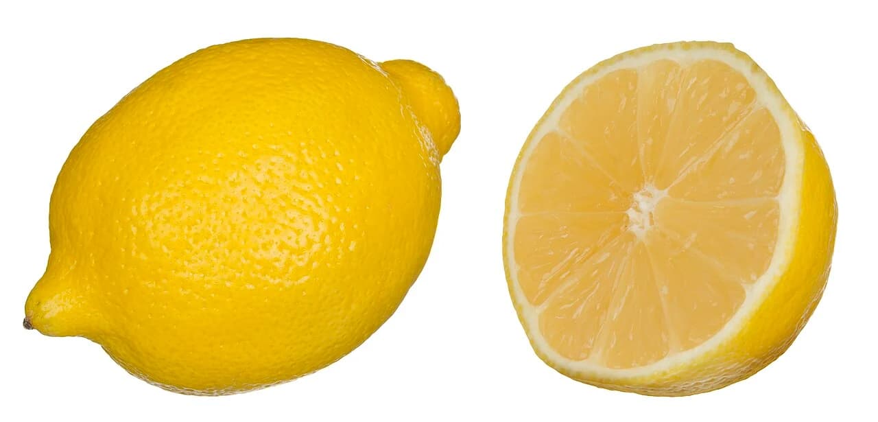 Citron entier et moitié de citron sur fond blanc.