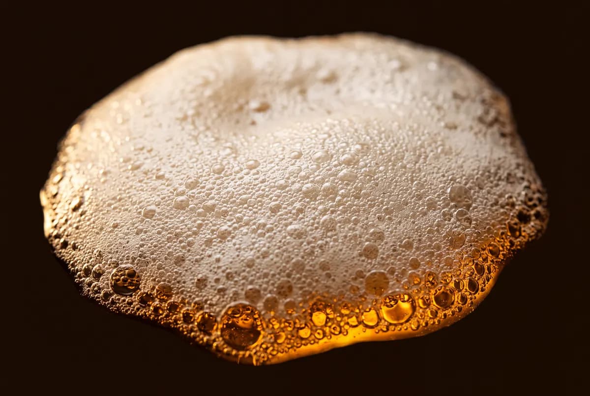 Gros plan sur une mousse de bière blanche aux bulles serrées.